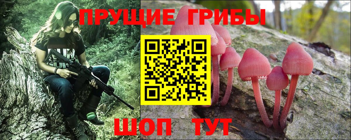 Галлюциногенные грибы Psilocybine cubensis Тосно
