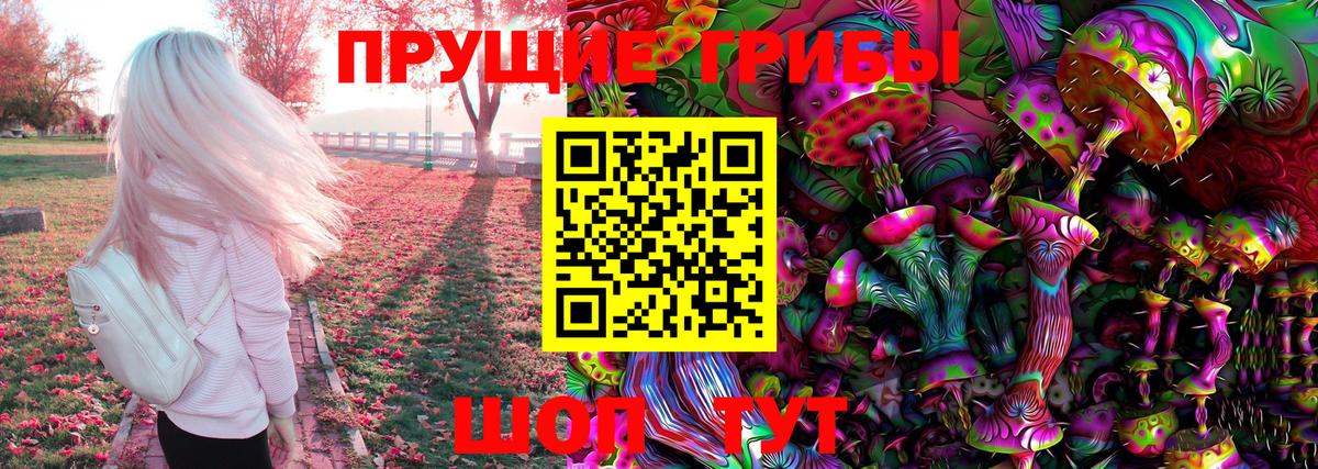 Тосно  Псилоцибиновые грибы Psilocybine cubensis  что такое   Вход с VPN  Псилоцибиновые грибы прущие грибы 
