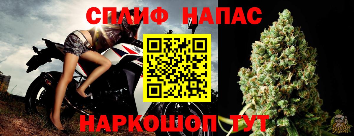 Конопля White Widow  Каннабис конопля  Вход с VPN  Тосно  МАРИХУАНА конопля 